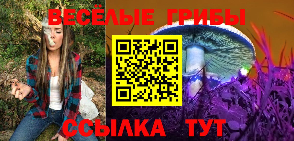 Галлюциногенные грибы Cubensis  Вход с VPN  Кинель 